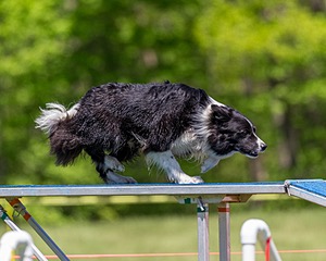 20170520-NEAT-1143.jpg