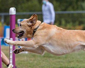 20200819-1139.jpg