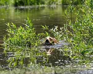 20130714-MHB2-0051.jpg