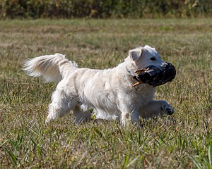 Piper Lanagan