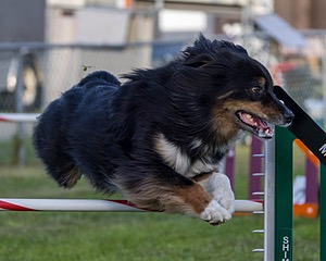 20230916-PVKC-1737.jpg
