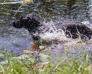 20170716-WCXW-1206.jpg