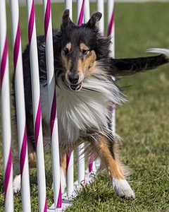 20230916-PVKC-1222.jpg