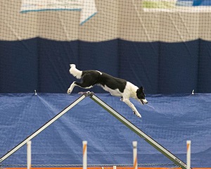 20150321-LEAP-1018.jpg