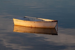 20180708-1025.jpg