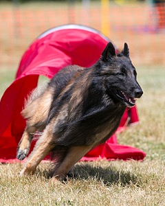 20150613-CCKC-0277.jpg