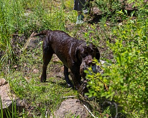 20160717-WCW-0019.jpg