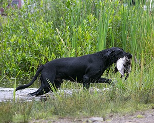20130713-MHB2-0078.jpg