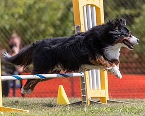 20200819-1071.jpg