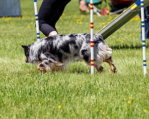20170520-NEAT-1420.jpg