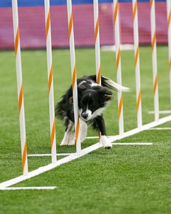 20150322-LEAP-0814.jpg