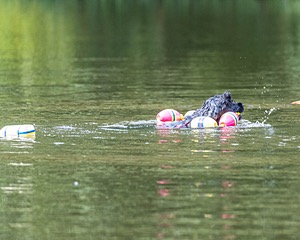 20210912-WWD-0357.jpg