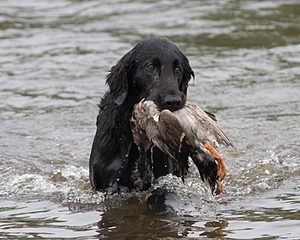 20080531-HRW-0881.jpg