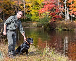 Iowa Pointing Labs Messinger's Kel (Kel)