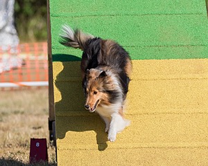 Pixel Witting
