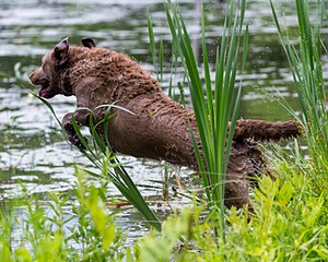 20170603-SEAW-0043.jpg
