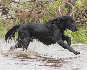 20080531-HRW-0897.jpg