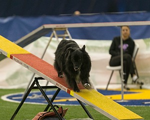 20150321-LEAP-1452.jpg