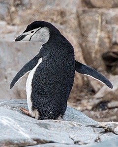 20260319-0171.jpg
