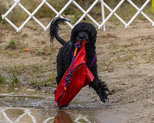 20210912-MWD-0131.jpg