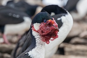 20191218-0834.jpg