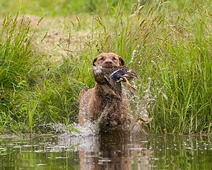 20130713-MHB2-0123.jpg