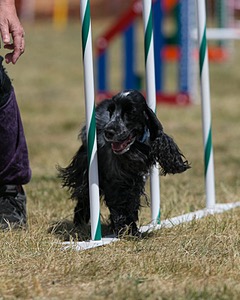 20150614-CCKC-1800.jpg