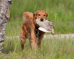 20080531-HRL-0065.jpg