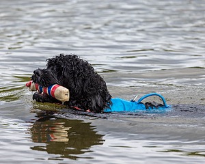 Camo Berger