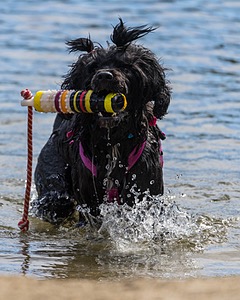 Penny Toby-Ann