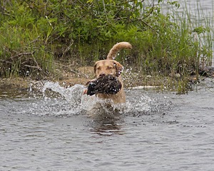 20080531-HRW-0083.jpg