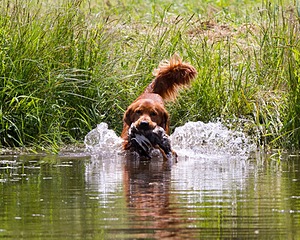 20130714-MHB2-0084.jpg