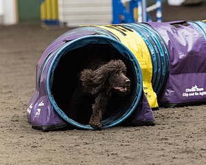 Ghillie Kezer