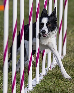 20230916-PVKC-1466.jpg
