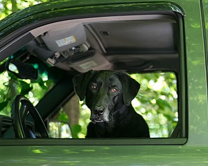 20130811-C-0016.jpg