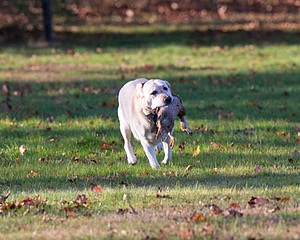 20131027-WCL-0005.jpg