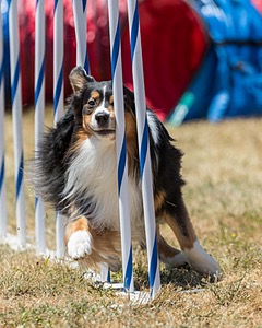 20160618-CCKC-1623.jpg