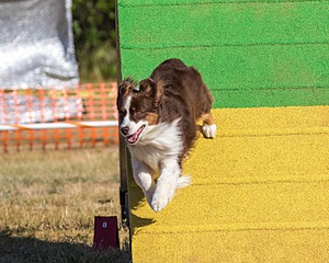 20160619-CCKC-0136.jpg