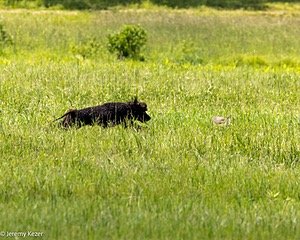 20220613-WD-0176.jpg