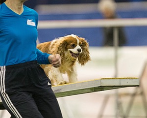 20150321-LEAP-1613.jpg