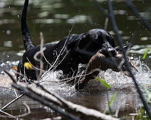 20130602-SEAW-0396.jpg