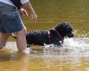 Rio Peter
