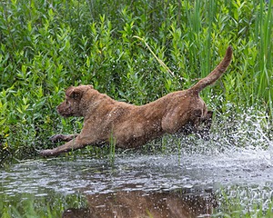 20130713-MHB2-0118.jpg