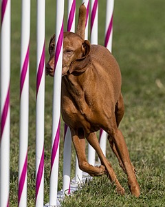 20230916-PVKC-1425.jpg