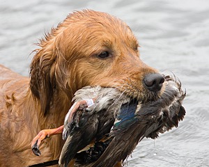 20080531-HRW-0357.jpg