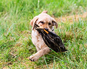 20160605-C-0028.jpg