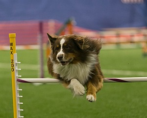 20150321-LEAP-1026.jpg