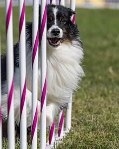 20230916-PVKC-1199.jpg