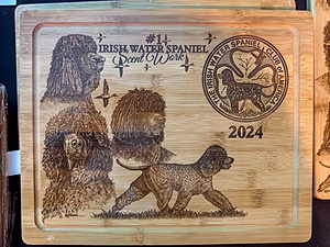 20250515-C-0024.jpg