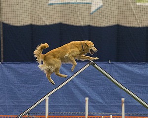 20150321-LEAP-0705.jpg